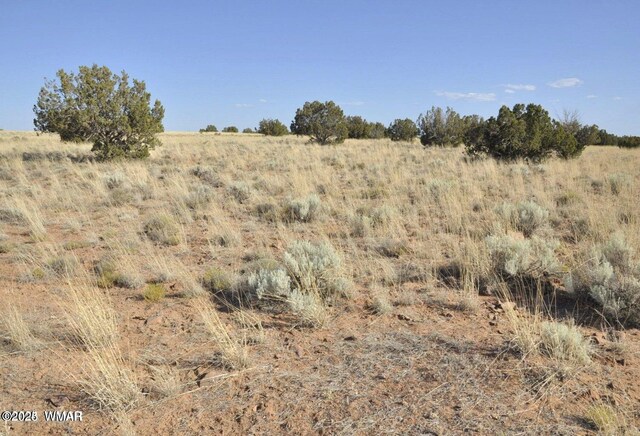 000 Clyde Rd, Snowflake, AZ 85937 - photo 10