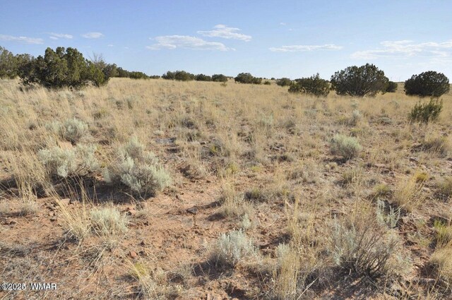 000 Clyde Rd, Snowflake, AZ 85937 - photo 7