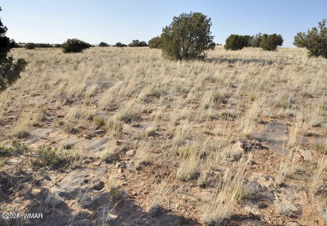 000 Clyde Rd, Snowflake, AZ 85937 - photo 9