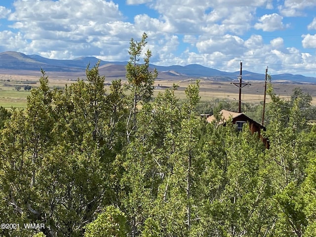 LOT4 Hidden Valley Dr, Eagar, AZ 85925