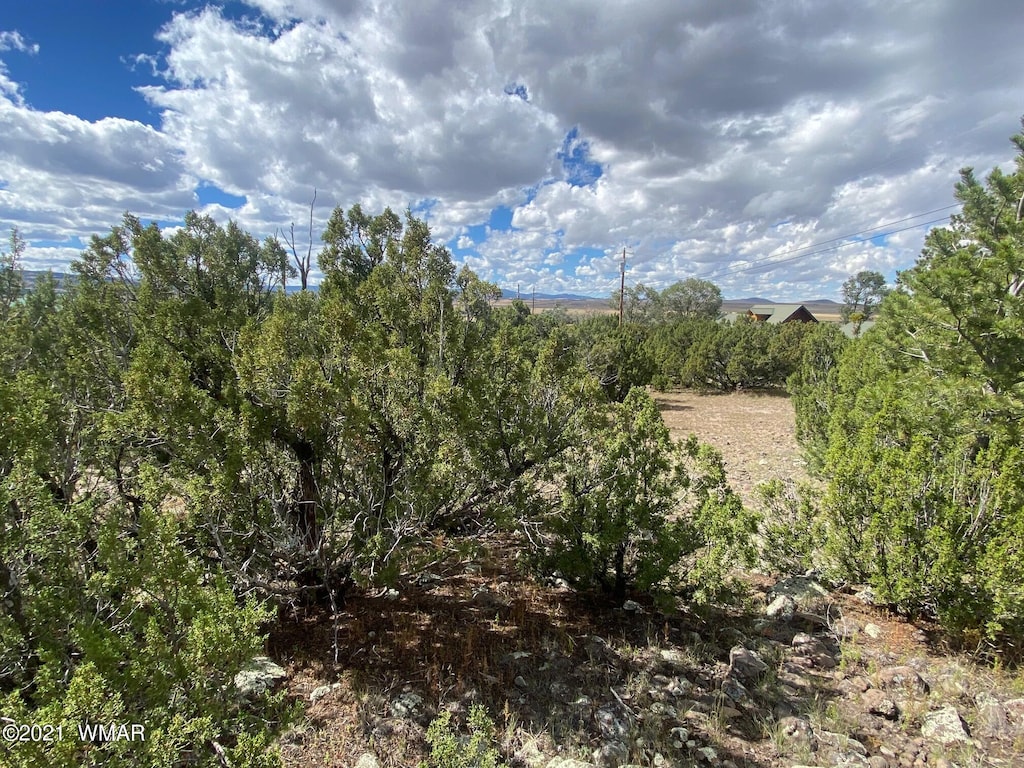 LOT4 Hidden Valley Dr, Eagar, AZ 85925