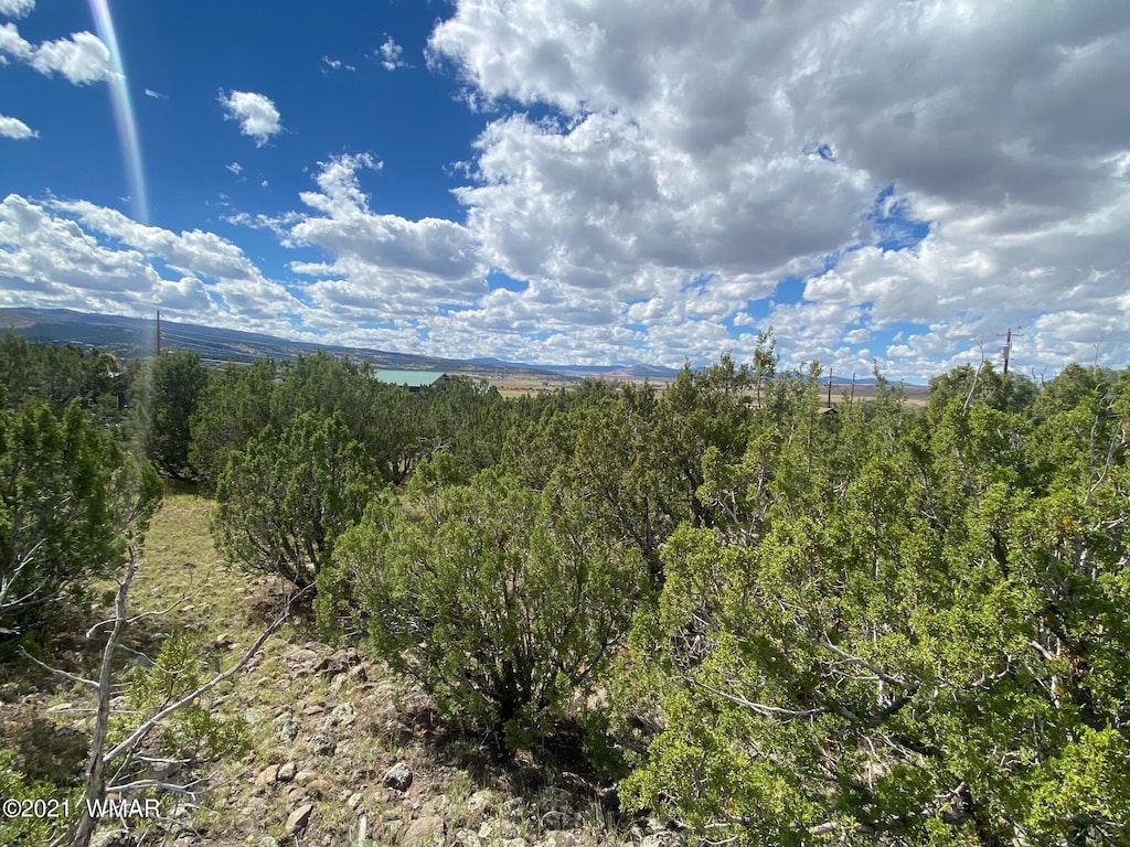 LOT4 Hidden Valley Dr, Eagar, AZ 85925