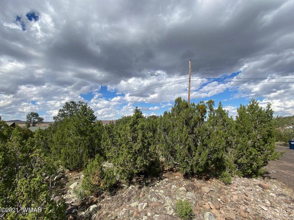 LOT4 Hidden Valley Dr, Eagar, AZ 85925