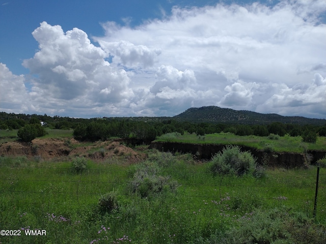 Listing photo 2 for 62 County Road 3033, Vernon AZ 85940