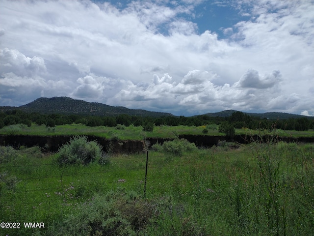 62 County Road 3033, Vernon AZ, 85940 land for sale