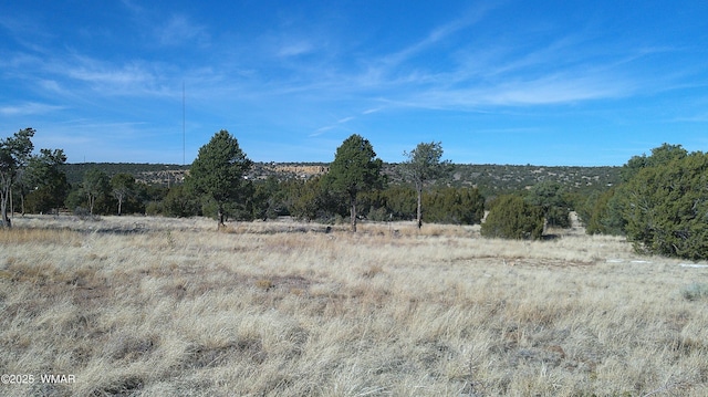 18 County Road 8021, Concho AZ, 85924 land for sale