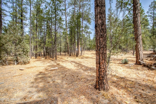 Listing photo 2 for 1436 Winter Pine Ln, Lakeside AZ 85929