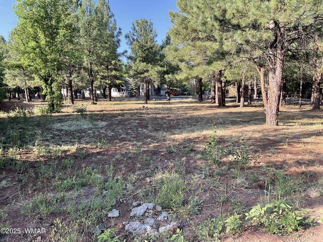 5151 Saddle Strap Way, Pinetop, AZ 85935 - photo 3
