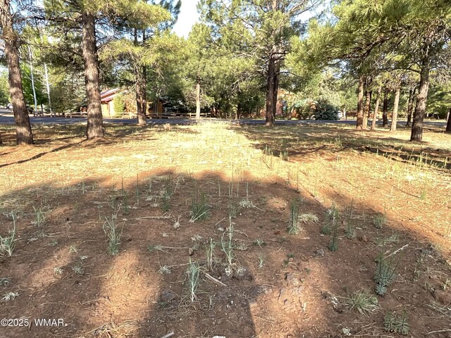 5151 Saddle Strap Way, Pinetop, AZ 85935 - photo 5