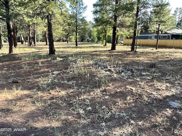 5151 Saddle Strap Way, Pinetop, AZ 85935 - photo 1