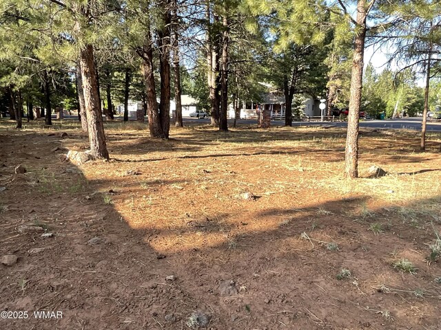 5151 Saddle Strap Way, Pinetop, AZ 85935 - photo 6