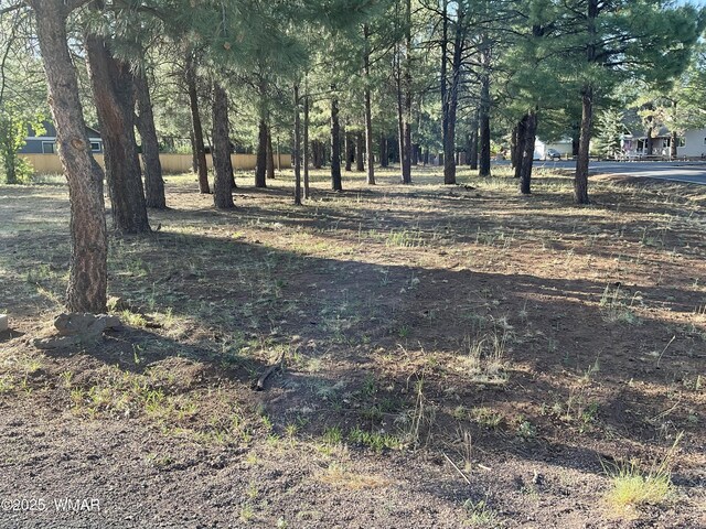 5151 Saddle Strap Way, Pinetop, AZ 85935 - photo 7