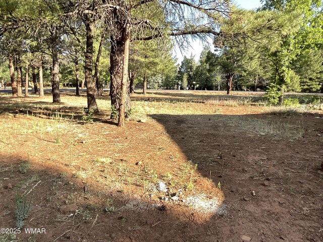 5151 Saddle Strap Way, Pinetop, AZ 85935 - photo 4