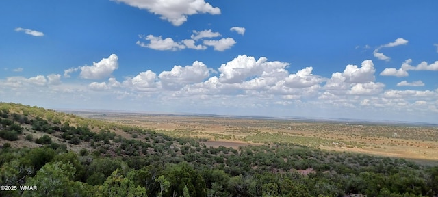 4269 Rock Rd, Snowflake, AZ 85937 - view of tree filled area