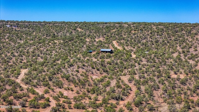 4269 Rock Rd, Snowflake, AZ 85937 - aerial view