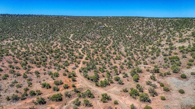 4269 Rock Rd, Snowflake, AZ 85937 - aerial view