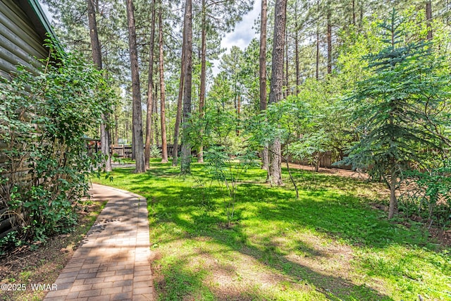 417 W Springtime Dr, Lakeside, AZ 85929 - photo 43