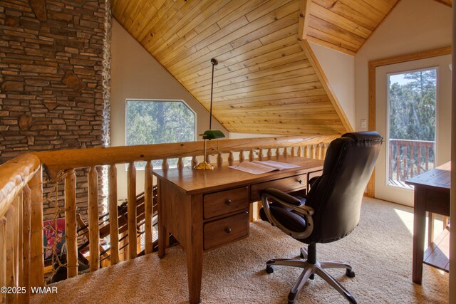 1466 Low Mountain Trl, Heber, AZ 85928 - photo 26