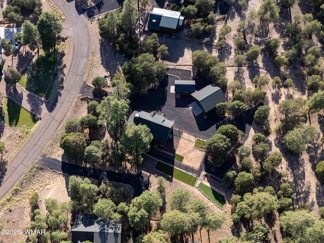 1466 Low Mountain Trl, Heber, AZ 85928 - photo 7