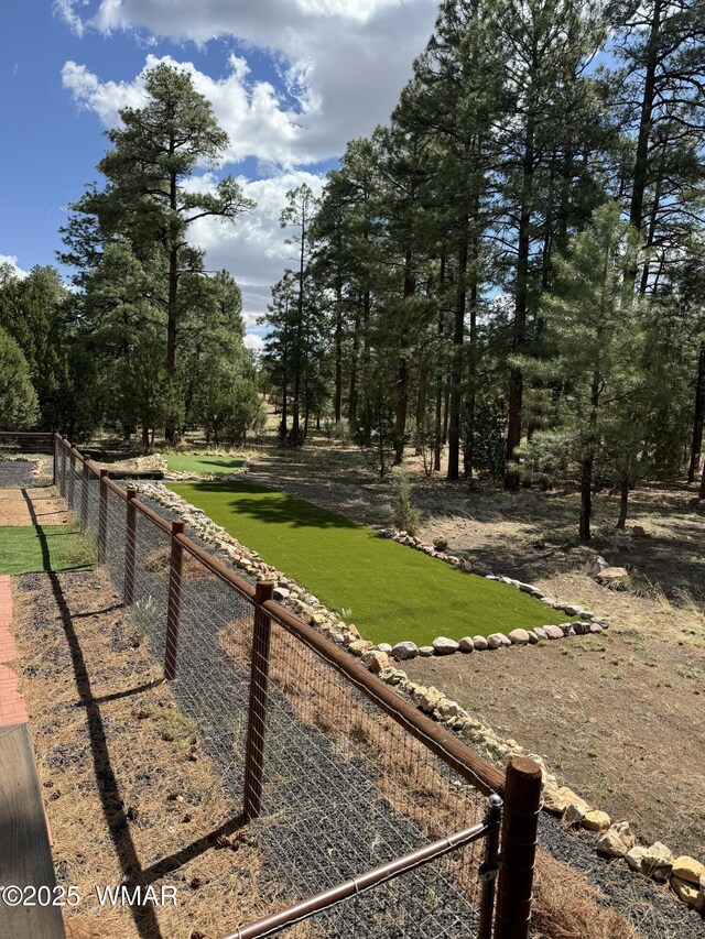 1466 Low Mountain Trl, Heber, AZ 85928 - photo 38