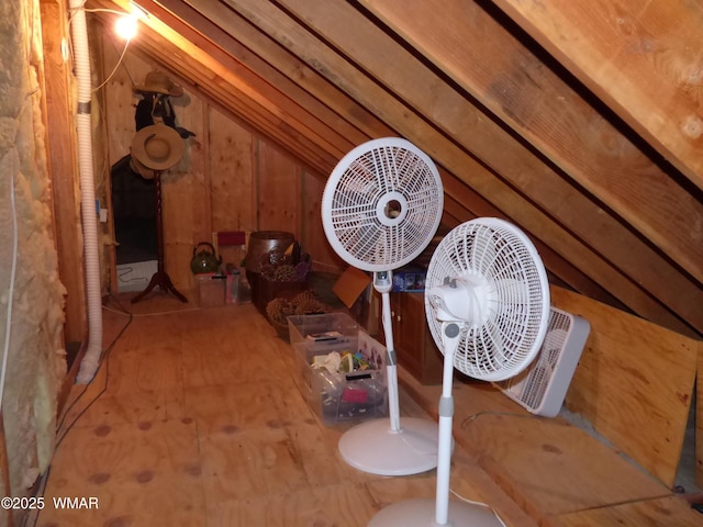 view of unfinished attic
