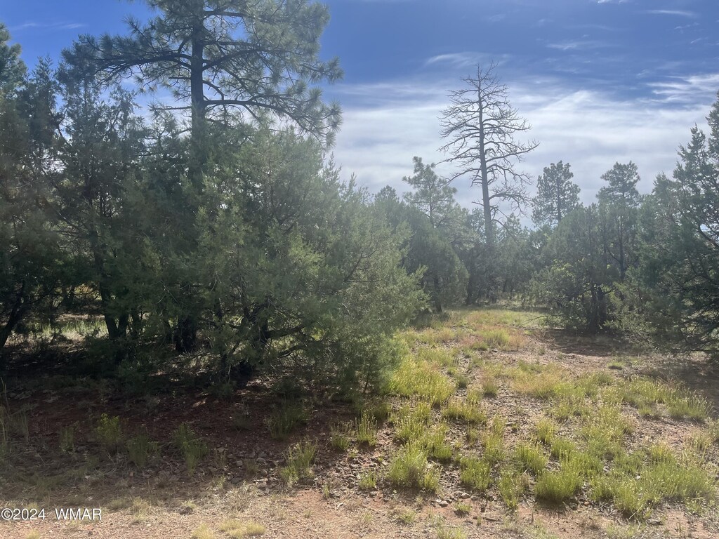 5455 Red Squirrel Ln, Lakeside, AZ 85929 - photo 2