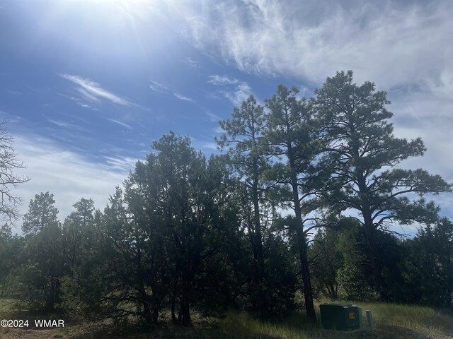5455 Red Squirrel Ln, Lakeside, AZ 85929 - photo 3