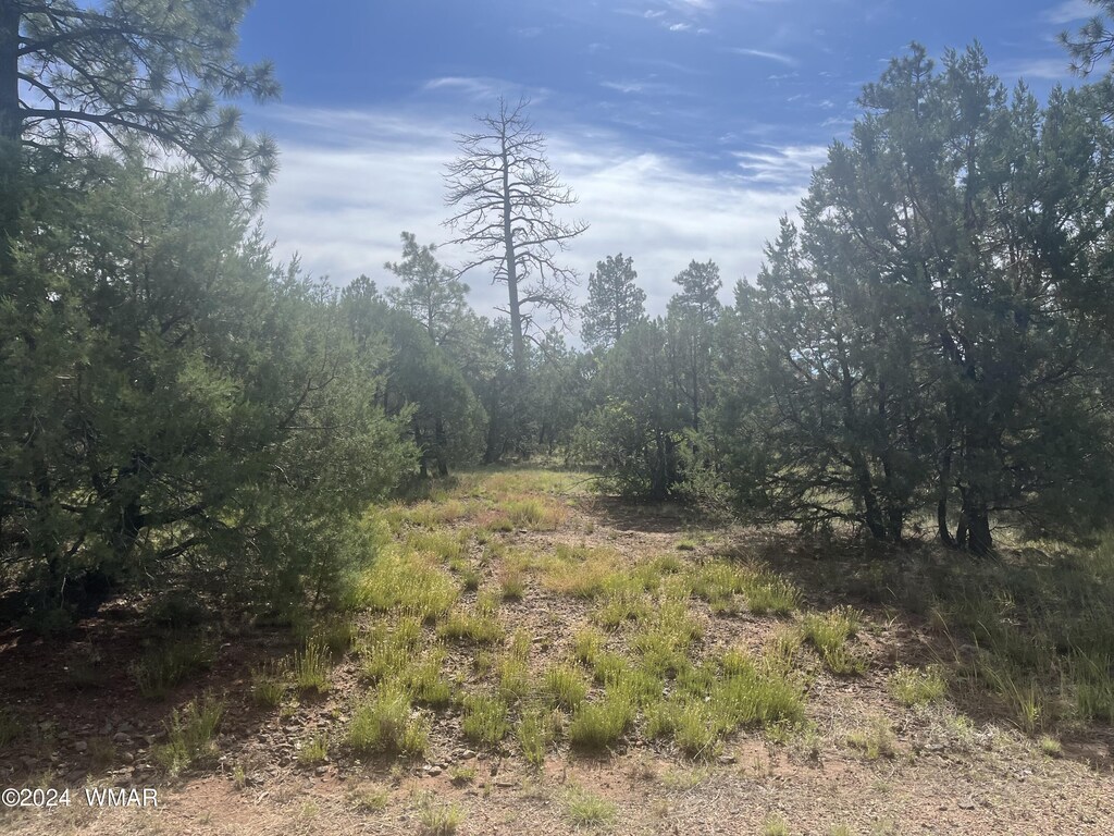 5455 Red Squirrel Ln, Lakeside, AZ 85929 - photo 1