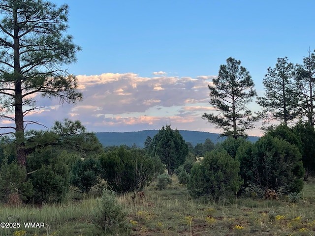 3621 N Mountain Creek Trl, Lakeside AZ, 85929 land for sale