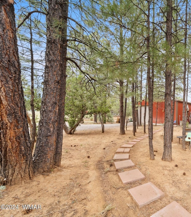 3048 Ponderosa Rd, Overgaard, AZ 85933 - photo 33