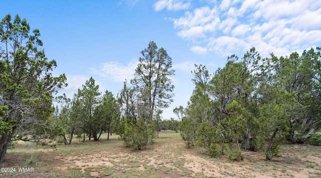 view of landscape