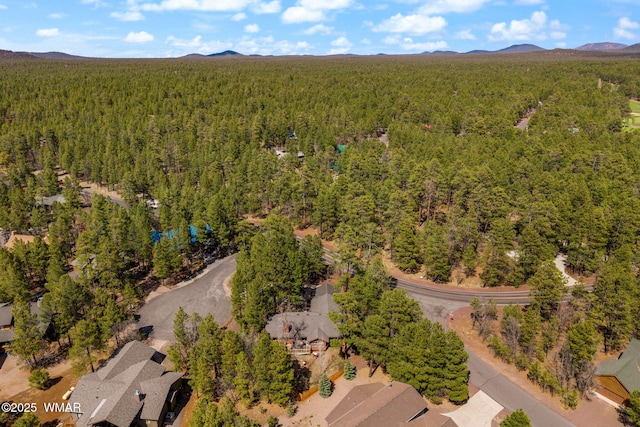6229 Tonto Trl, Pinetop, AZ 85935 - photo 10