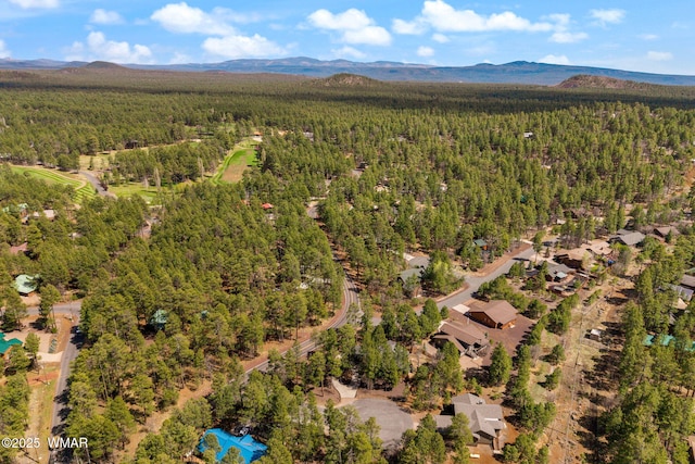 6229 Tonto Trl, Pinetop, AZ 85935 - photo 8