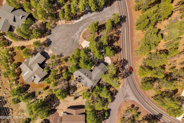 6229 Tonto Trl, Pinetop, AZ 85935 - photo 7