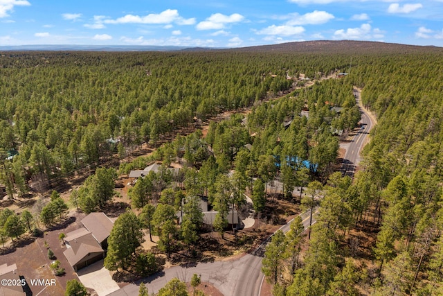 6229 Tonto Trl, Pinetop, AZ 85935 - photo 9