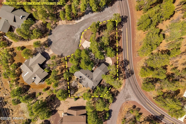6229 Tonto Trl, Pinetop, AZ 85935 - photo 11
