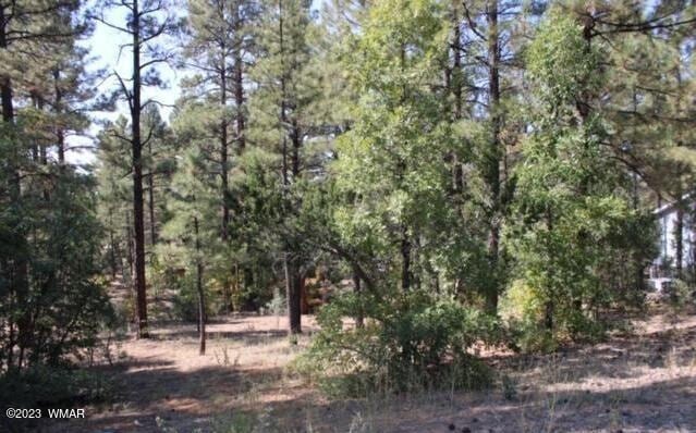 1160 S Cherokee Dr, Show Low AZ, 85901 land for sale