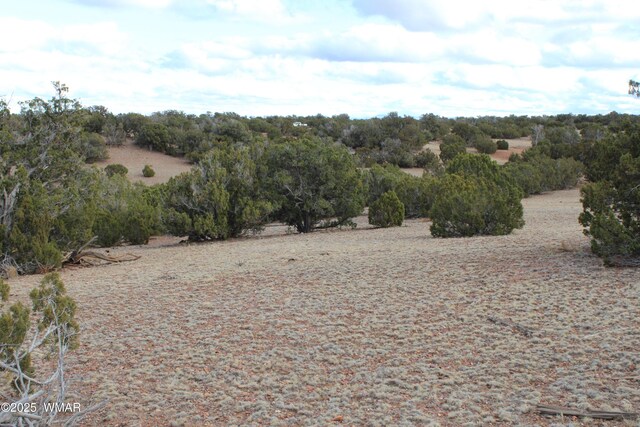 9830 Texas Ln, White Mountain Lake, AZ 85912