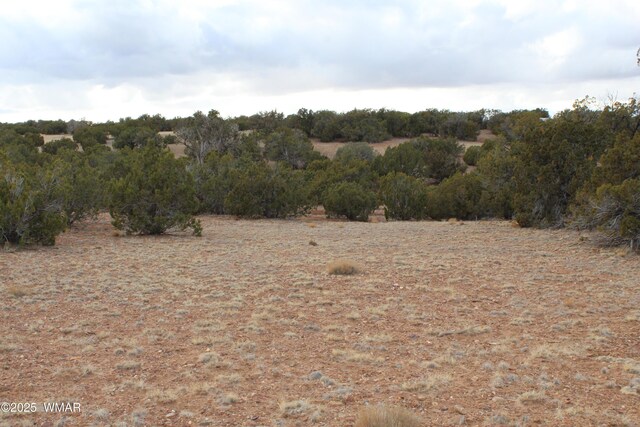 9830 Texas Ln, White Mountain Lake, AZ 85912