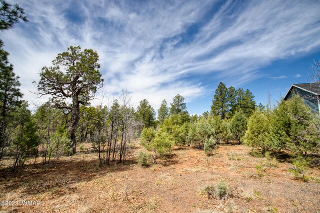 1481 Lacie Ln, Lakeside, AZ 85929 - photo 7