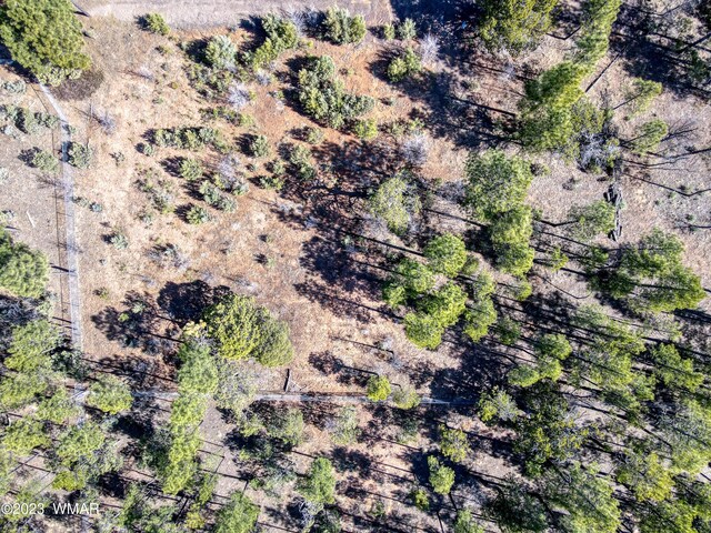 1481 Lacie Ln, Lakeside, AZ 85929 - photo 5