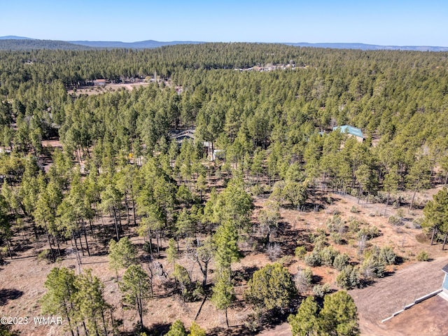 1481 Lacie Ln, Lakeside, AZ 85929 - photo 2