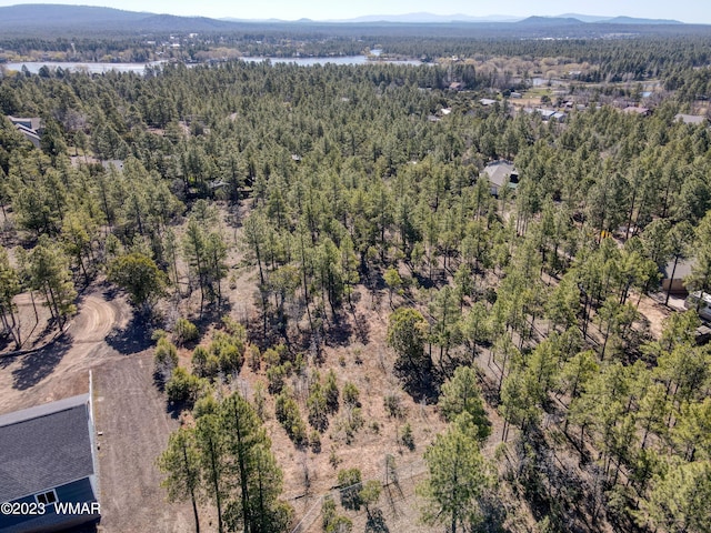1481 Lacie Ln, Lakeside, AZ 85929 - photo 1