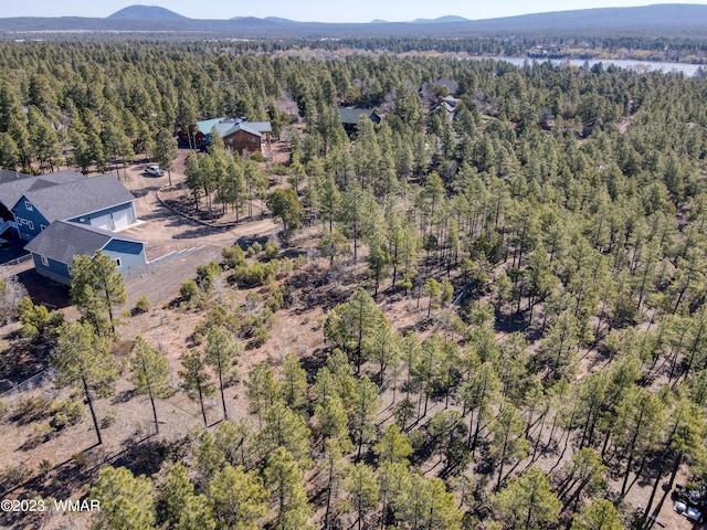 1481 Lacie Ln, Lakeside, AZ 85929 - photo 3