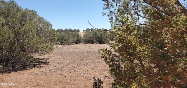 TBD High Plains Rd, Show Low, AZ 85901 - photo 7