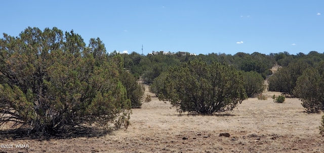 TBD High Plains Rd, Show Low, AZ 85901 - photo 11