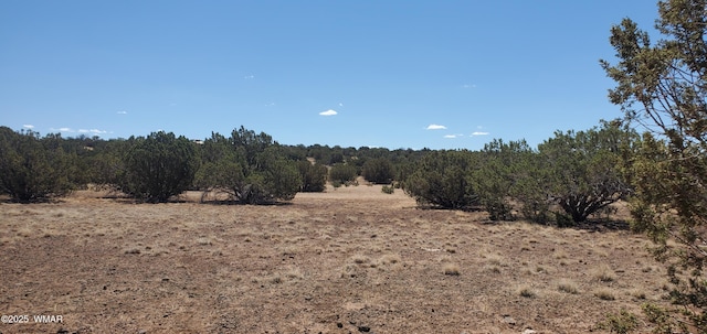 TBD High Plains Rd, Show Low, AZ 85901 - photo 8