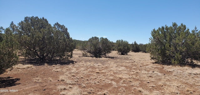 TBD High Plains Rd, Show Low, AZ 85901 - photo 6