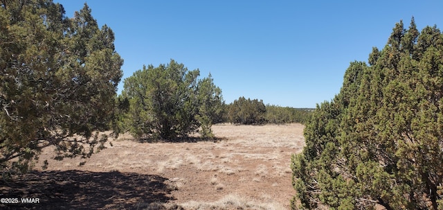 TBD High Plains Rd, Show Low, AZ 85901 - photo 9