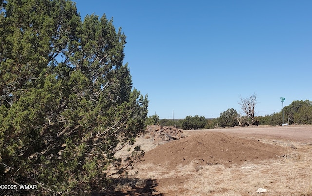 TBD High Plains Rd, Show Low, AZ 85901 - photo 14